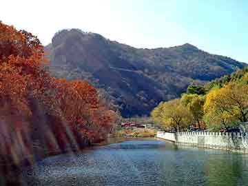 澳門一碼一碼100準確，揭秘澳門彩票的魅力與真實性，澳門彩票揭秘，一碼一碼100準確之魅力與真相探究