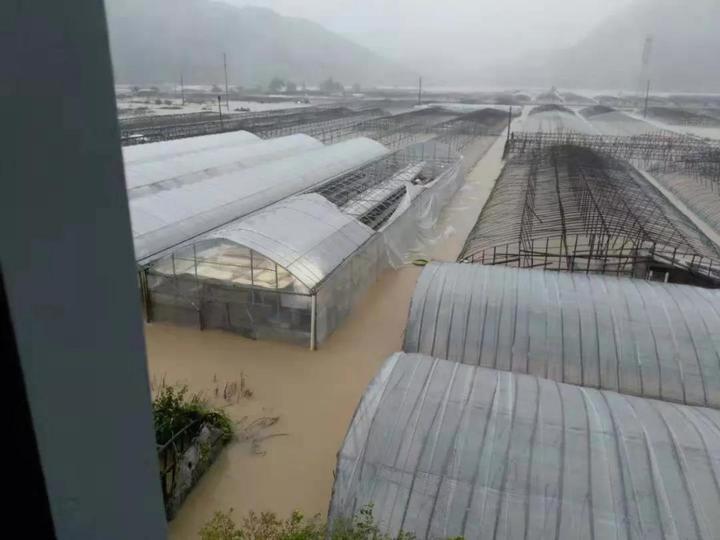 臨海邵家渡最新規(guī)劃圖，未來城市發(fā)展的藍(lán)圖，臨海邵家渡最新規(guī)劃圖揭秘，未來城市發(fā)展的宏偉藍(lán)圖