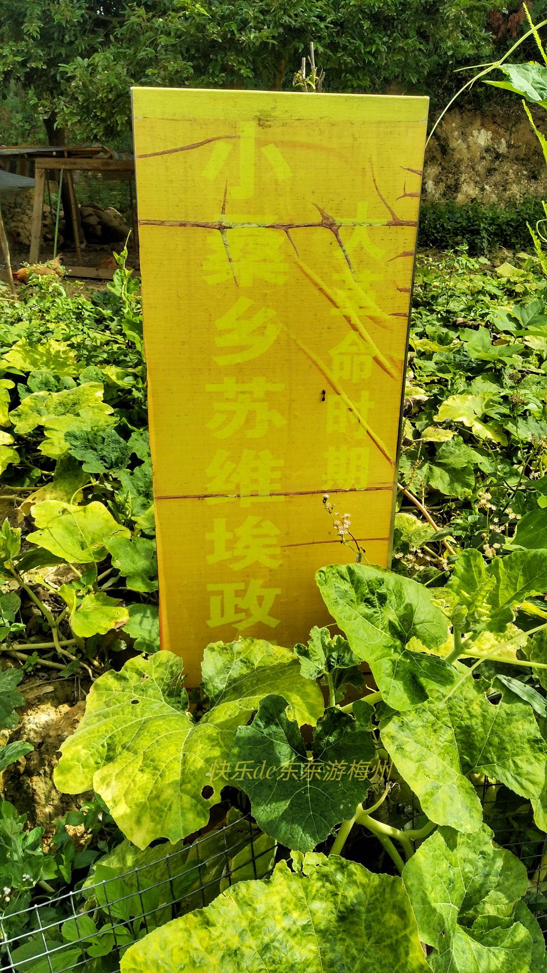 梅州人才網(wǎng)最新招聘信息概覽，梅州人才網(wǎng)最新招聘信息匯總