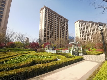 魯信隨珠花園最新房價動態(tài)分析，魯信隨珠花園最新房價動態(tài)解析