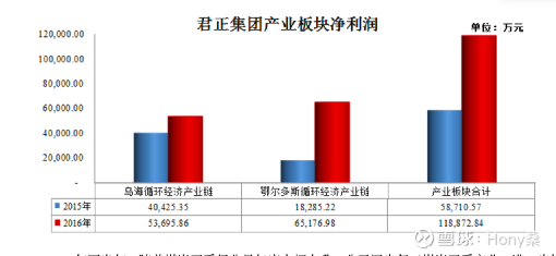 君正集團(tuán)最新消息綜述，君正集團(tuán)最新消息綜述，動(dòng)態(tài)與發(fā)展概覽