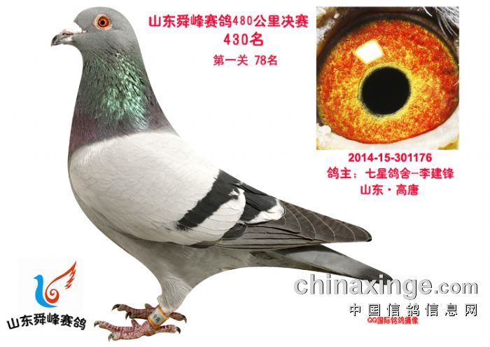澳門 第819頁