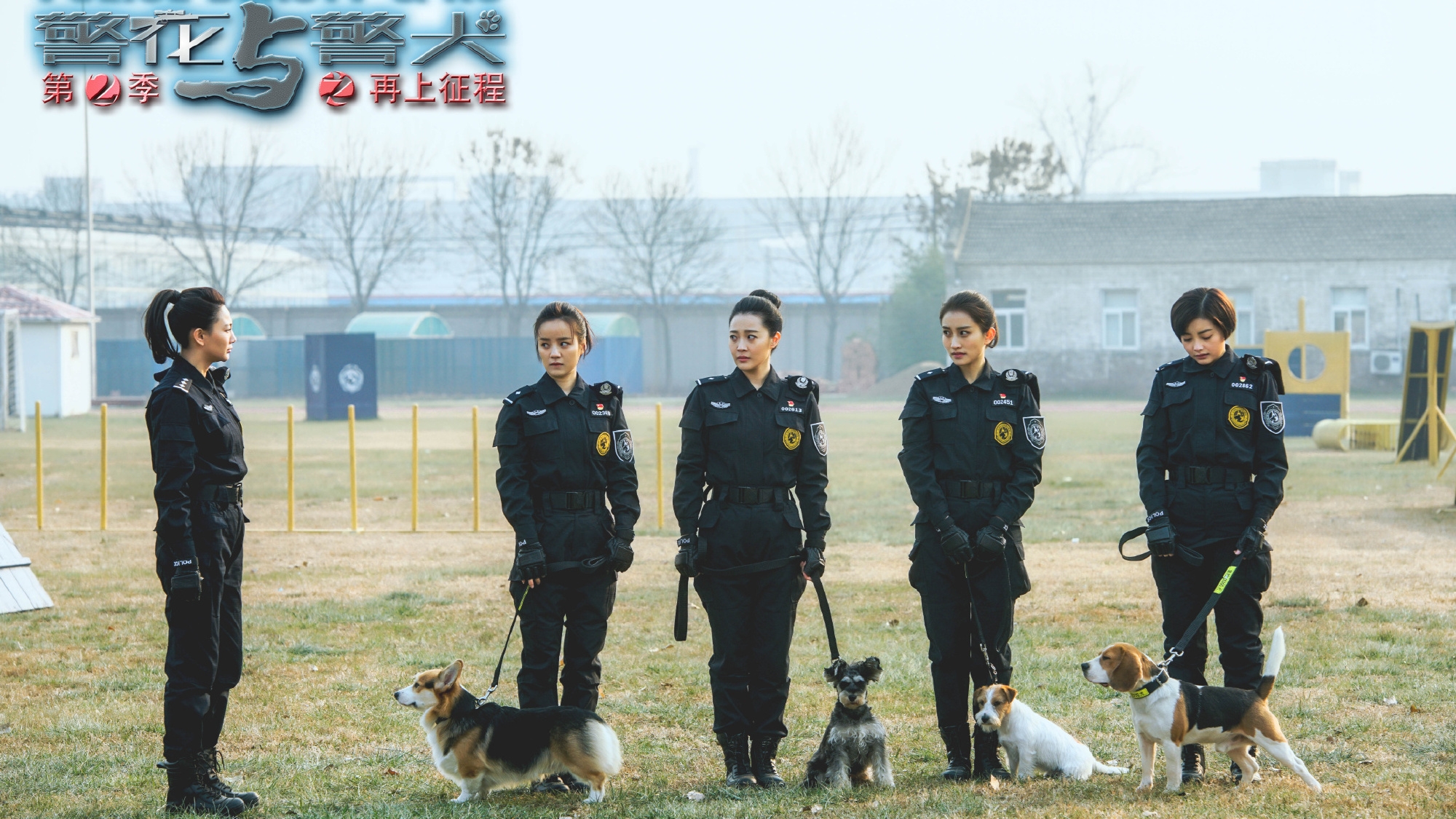 警花與警犬2最新消息揭秘，警花與警犬2最新動(dòng)態(tài)揭秘
