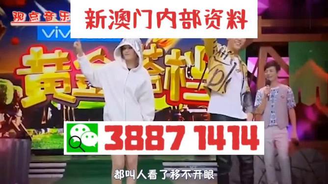 澳門今晚必開一肖一特——揭開犯罪的面紗，澳門犯罪揭秘，今晚必開一肖一特的真相探索