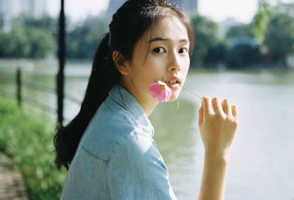 白鹿，自然與文化的交融之美，白鹿，自然與文化交融之美的獨(dú)特展現(xiàn)