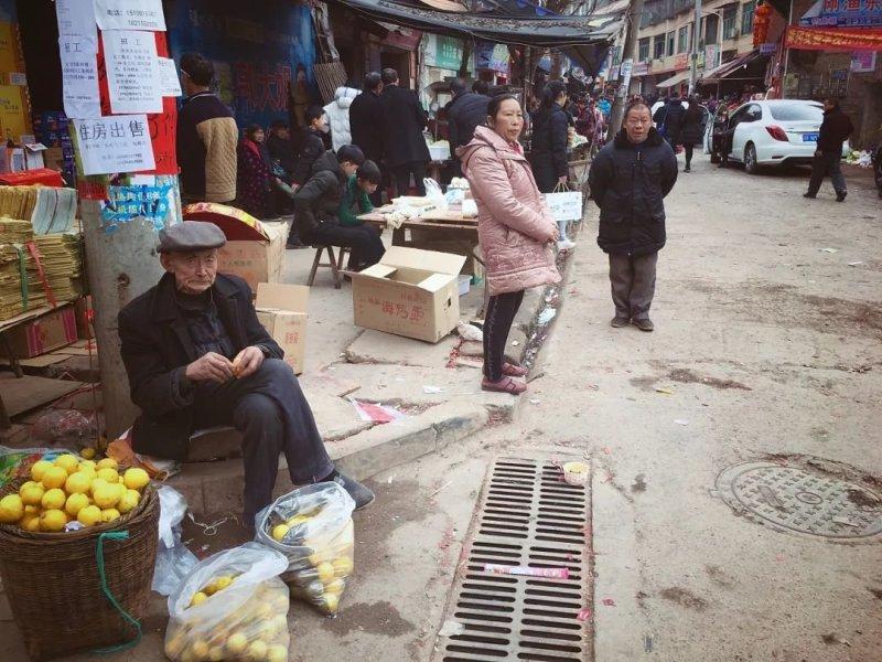 深圳臨聘教師最新消息全面解讀，深圳臨聘教師最新消息全面解讀與解析