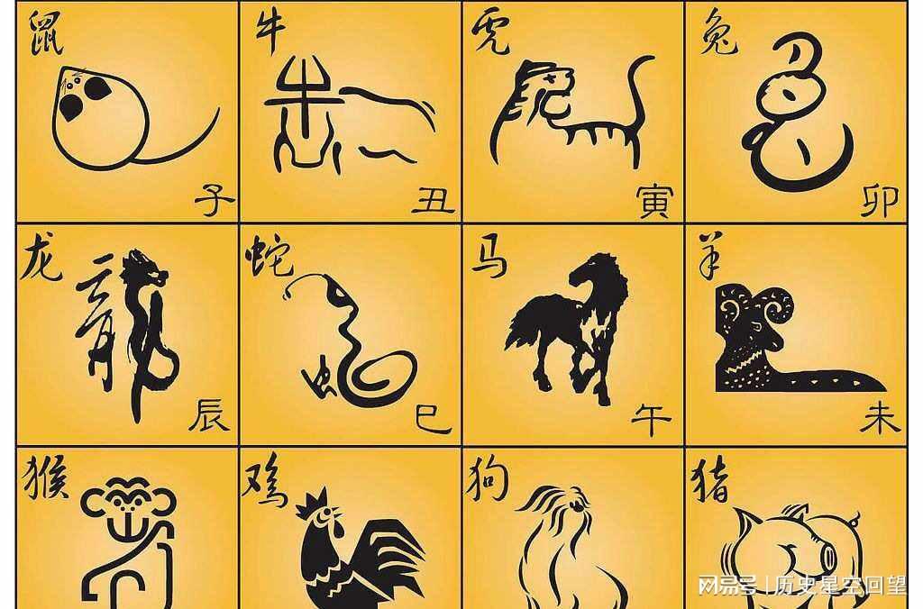管家婆一碼一肖必開：掌握命運(yùn)的生肖密碼