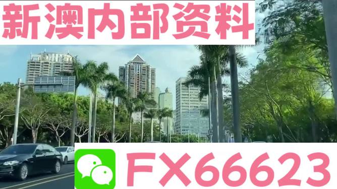 新澳精準(zhǔn)資料免費(fèi)提供，探索第510期的價(jià)值與機(jī)遇，新澳精準(zhǔn)資料免費(fèi)探索第510期價(jià)值與機(jī)遇