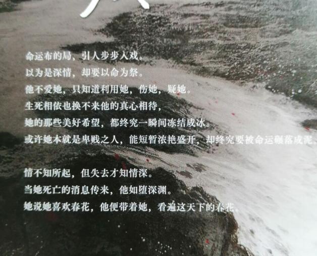 春花焰，一部展現(xiàn)青春與熱血的電視劇佳作，春花焰，青春熱血的電視劇之旅