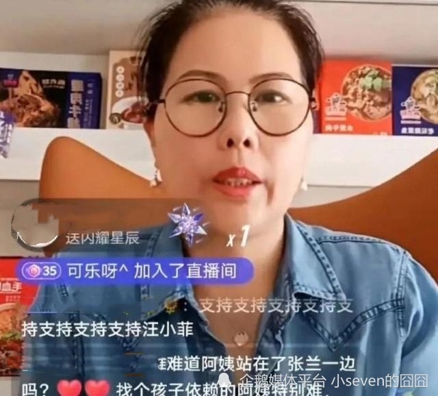 麥琳前保姆爆料，揭開(kāi)不為人知的秘密，麥琳前保姆揭秘，不為人知的秘密曝光