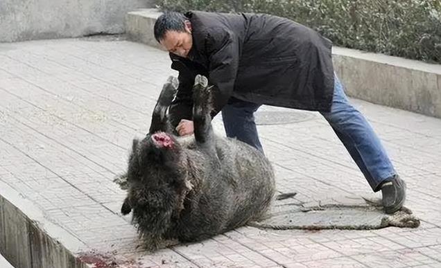 香港 第1886頁(yè)