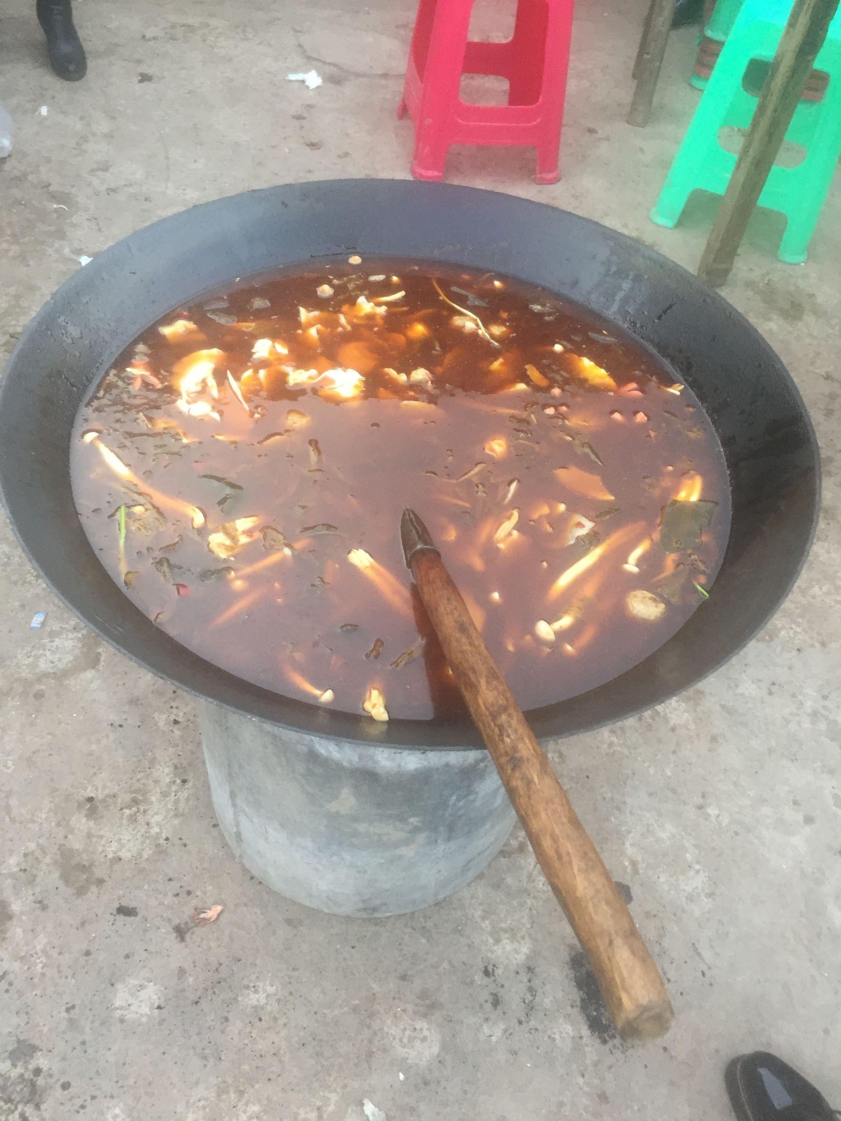 長江網(wǎng)紅小島驚現(xiàn)大野豬熱潮，生態(tài)、旅游與網(wǎng)絡(luò)的交融，長江網(wǎng)紅小島大野豬熱潮，生態(tài)、旅游與網(wǎng)絡(luò)的交融奇跡