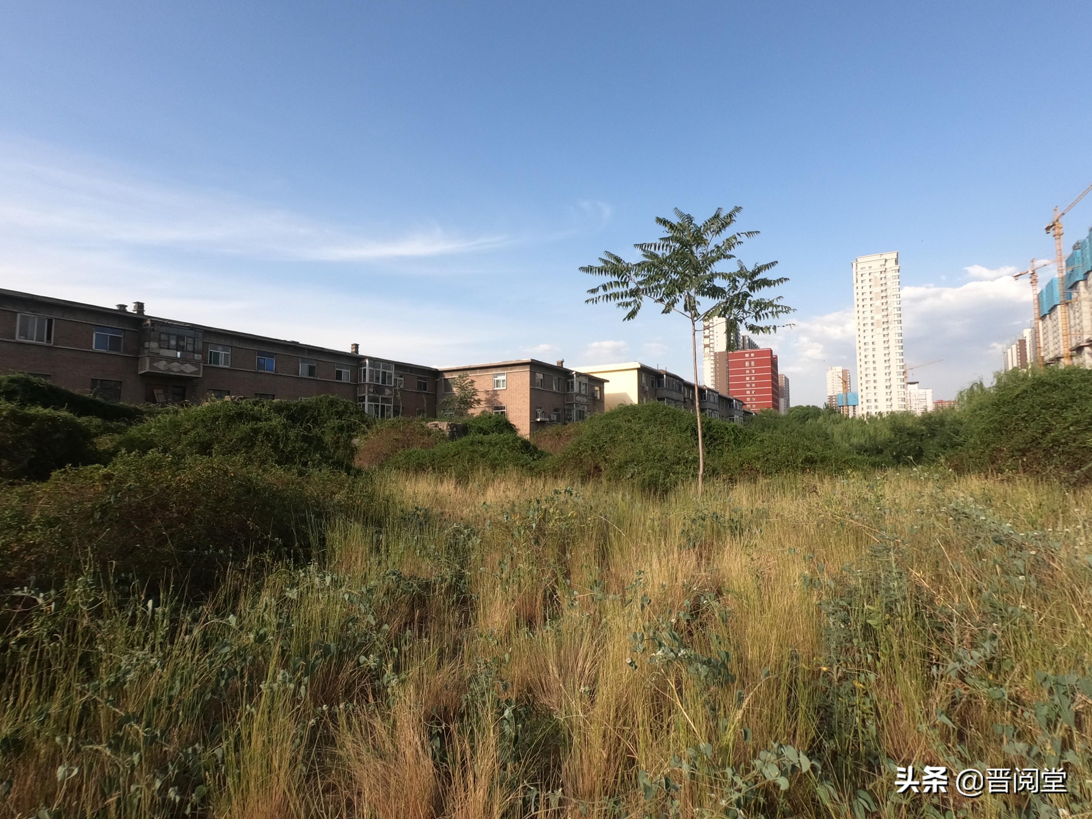 信達(dá)證券稱A股短期降溫，市場反應(yīng)與未來展望，信達(dá)證券稱A股短期降溫，市場反應(yīng)及未來展望分析