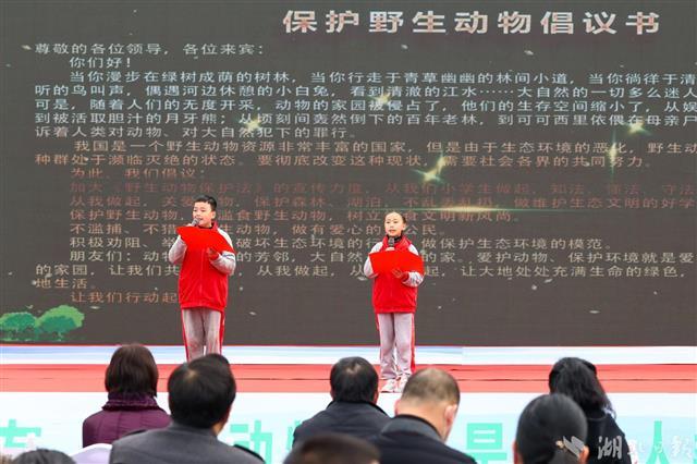 專家談野豬致害波及26省，應(yīng)對策略與平衡發(fā)展之道，專家解析，野豬致害波及26省，應(yīng)對策略與生態(tài)平衡發(fā)展探討