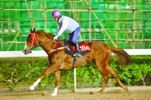 關(guān)于澳門特馬今晚開獎的討論與警示——警惕違法犯罪風(fēng)險，澳門特馬今晚開獎討論背后的風(fēng)險警示，警惕違法犯罪陷阱