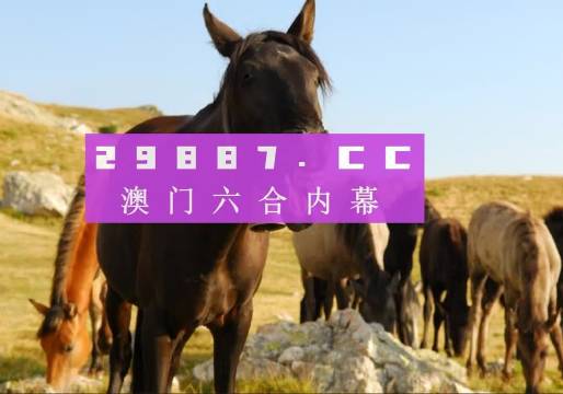 澳門正版大全，探索2024年管家婆資料的世界，澳門正版大全揭秘，探索2024年管家婆資料奧秘