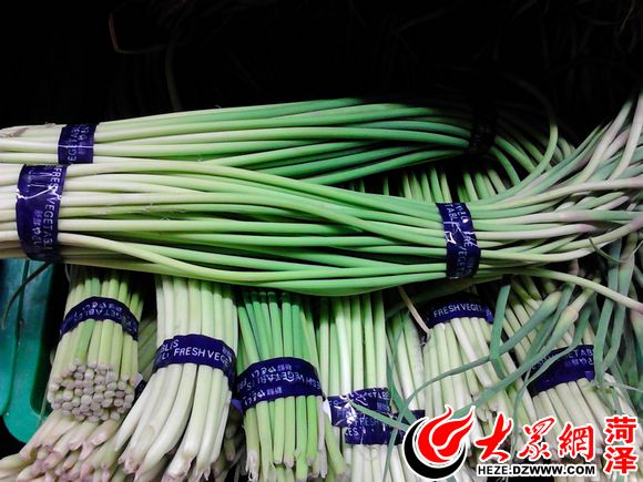 今日蒜苔價(jià)格最新行情分析，蒜苔今日最新價(jià)格行情分析
