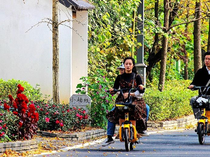 長興公交車路線最新動態(tài)與改進，長興公交車路線最新動態(tài)及改進概覽