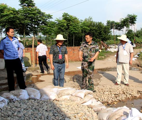 共雙茶垸最新動(dòng)態(tài)，引領(lǐng)綠色發(fā)展的先鋒力量，共雙茶垸綠色發(fā)展先鋒，最新動(dòng)態(tài)引領(lǐng)未來