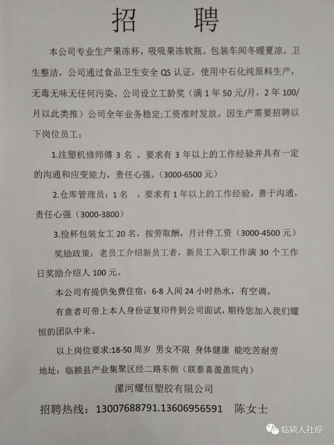莘縣會計最新招聘信息及行業(yè)趨勢分析，莘縣會計招聘信息更新與行業(yè)趨勢深度剖析