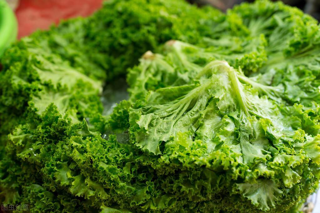 豆角價格最新消息，市場動態(tài)與影響因素分析，豆角價格動態(tài)，最新消息與市場影響因素分析