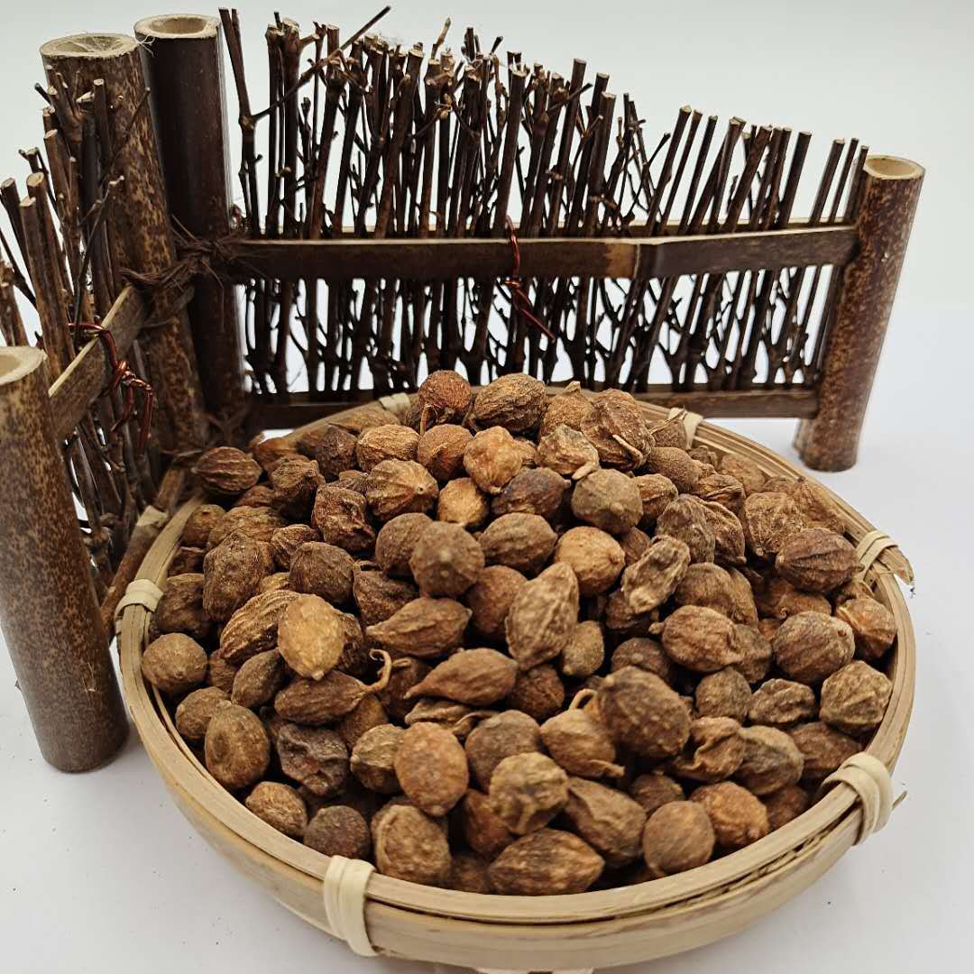 最新益智仁價(jià)格動(dòng)態(tài)分析，益智仁價(jià)格最新動(dòng)態(tài)分析
