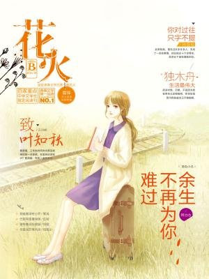 最新花火系列小說，燃燒青春，照亮未來，花火系列小說，青春燃燒，照亮未來之路