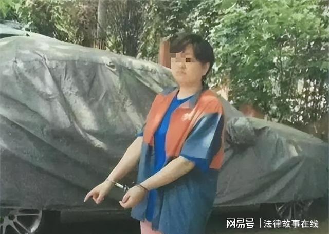 楊建芳案最新動態(tài)，全面揭示案件進展與司法公正，楊建芳案最新進展，全面展現(xiàn)案件動態(tài)與司法公正之路