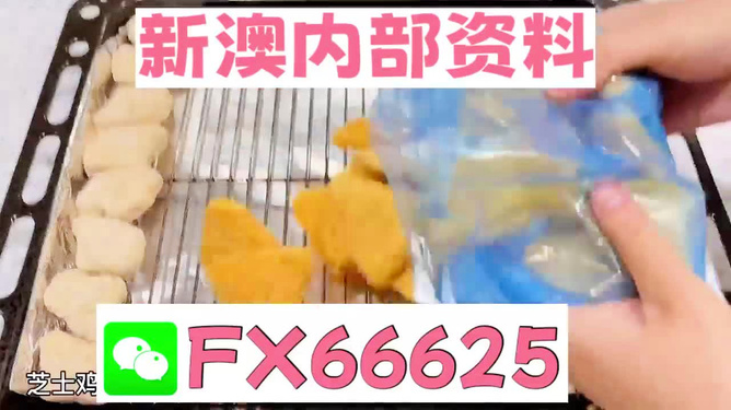 新奧長期免費資料大全，探索與啟示，新奧長期免費資料大全，深度探索與啟示