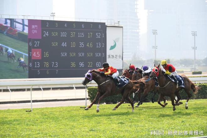 澳門賽馬會，歷史、文化與競技的交融，澳門賽馬會，歷史、文化與競技的璀璨交融