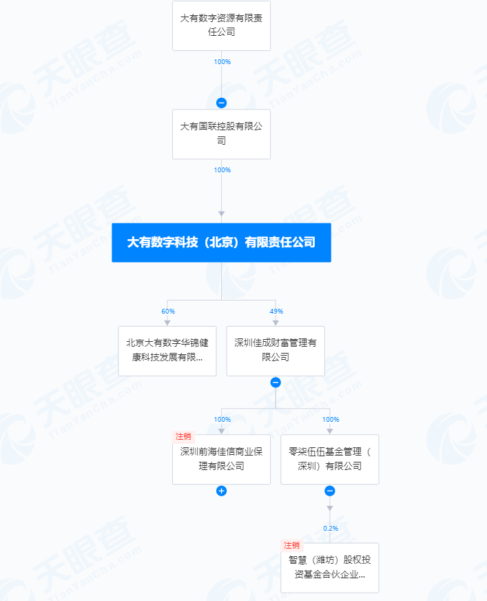 大聯(lián)大旗下子公司的多元發(fā)展與戰(zhàn)略布局，大聯(lián)大旗下子公司多元發(fā)展與戰(zhàn)略布局揭秘