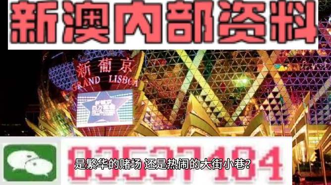 警惕新澳門精準資料大全管家婆料——揭開犯罪行為的真相，警惕新澳門精準資料大全，揭開犯罪真相的管家婆料揭秘
