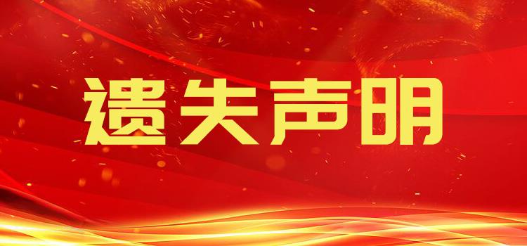 新澳歷史紀錄，邁向未來的里程碑（2024年），新澳歷史里程碑，邁向未來的紀錄（紀念2024年）