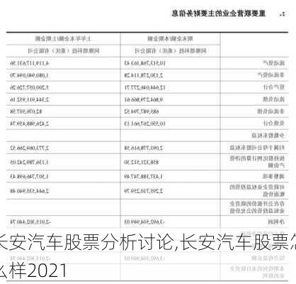 深度分析與展望 第3頁(yè)