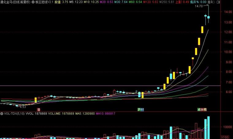 賽力斯明天走勢預測，賽力斯明日走勢預測分析