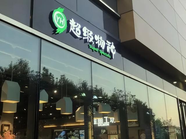 永輝超市，未來超級牛股的潛力展望，永輝超市，未來超級牛股的潛力展望與前景分析