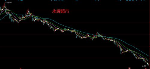 永輝超市股票未來(lái)走勢(shì)分析，永輝超市股票未來(lái)走勢(shì)展望，深度解析與預(yù)測(cè)