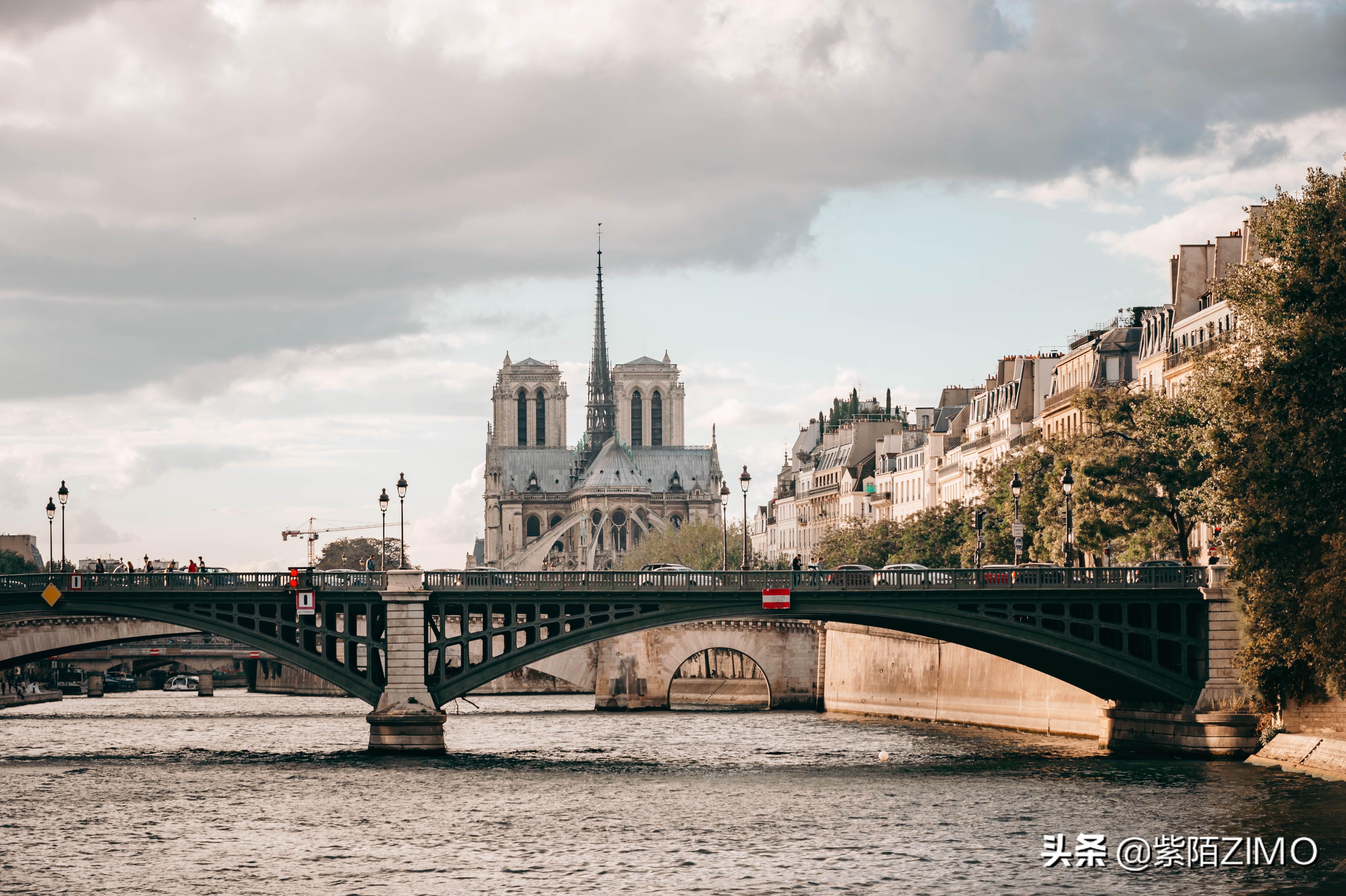 遙望科技2024年分紅計(jì)劃詳解，遙望科技2024年分紅計(jì)劃全面解析