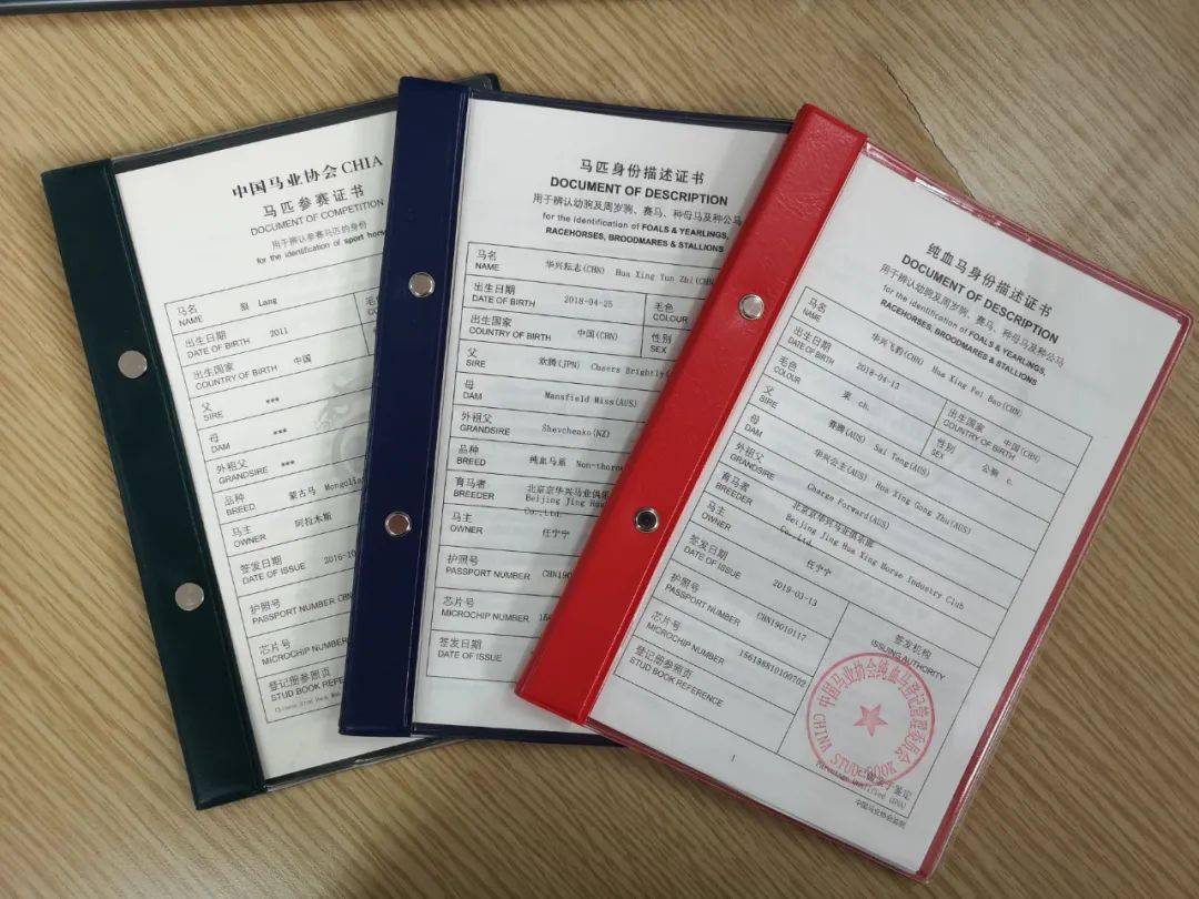 揭秘精準(zhǔn)馬會傳真圖背后的秘密，解讀數(shù)字與圖像交織的奧秘，揭秘精準(zhǔn)馬會傳真圖背后的數(shù)字與圖像奧秘