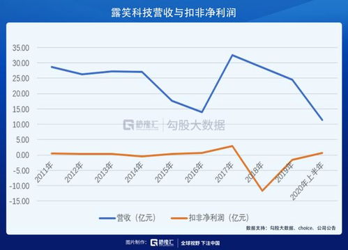露笑科技可能重組，未來展望與挑戰(zhàn)，露笑科技重組展望與面臨的挑戰(zhàn)