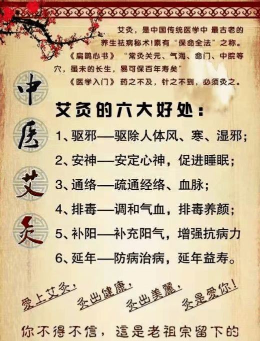 新奧天天免費(fèi)資料與東方心經(jīng)的探索之旅，新奧天天免費(fèi)資料與東方心經(jīng)的深度探索