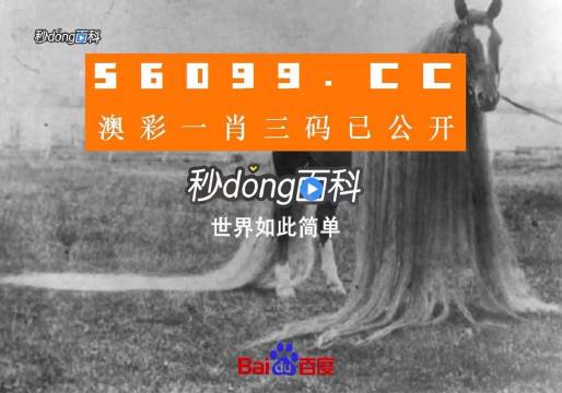 澳門一肖一碼一必中一肖舟山，揭示背后的風(fēng)險(xiǎn)與挑戰(zhàn)，澳門一肖一碼背后的風(fēng)險(xiǎn)與挑戰(zhàn)揭秘
