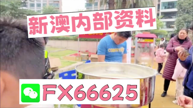澳門正版免費(fèi)全年資料大全旅游團(tuán)，一個(gè)誤解與犯罪風(fēng)險(xiǎn)的警示，澳門旅游團(tuán)資料大全背后的誤解與犯罪風(fēng)險(xiǎn)警示