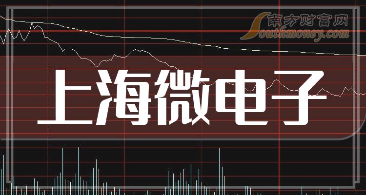 上海微電子前十大股東深度解析，上海微電子前十大股東的深度剖析