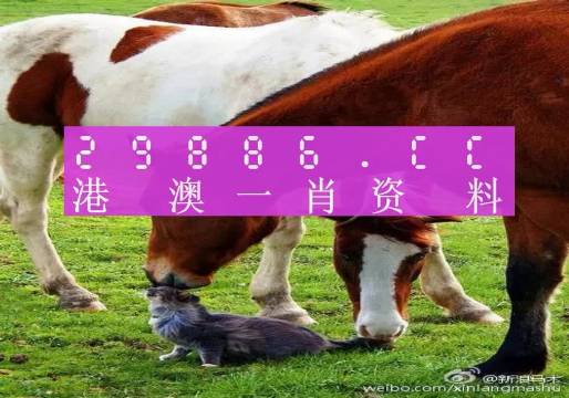 關(guān)于奧門一碼中一肖更新日期的探討與警示——警惕違法犯罪問題，關(guān)于奧門一碼中一肖更新日期的探討與警示，警惕違法犯罪風(fēng)險(xiǎn)