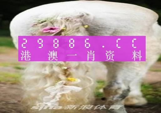 澳門內(nèi)部資料精準(zhǔn)大全2023——警惕違法犯罪風(fēng)險(xiǎn)，澳門內(nèi)部資料精準(zhǔn)大全背后的風(fēng)險(xiǎn)，警惕違法犯罪威脅 2023年警惕篇
