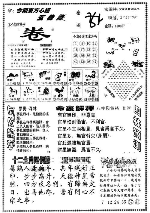 探索49圖庫，圖片與資料的寶庫，探索49圖庫，圖片與資料的寶藏世界