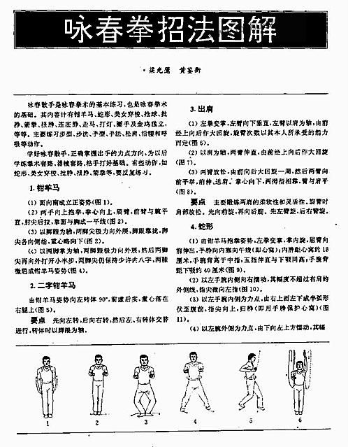詠春拳實戰(zhàn)技巧深度解析，詠春拳實戰(zhàn)技巧全面深度解析