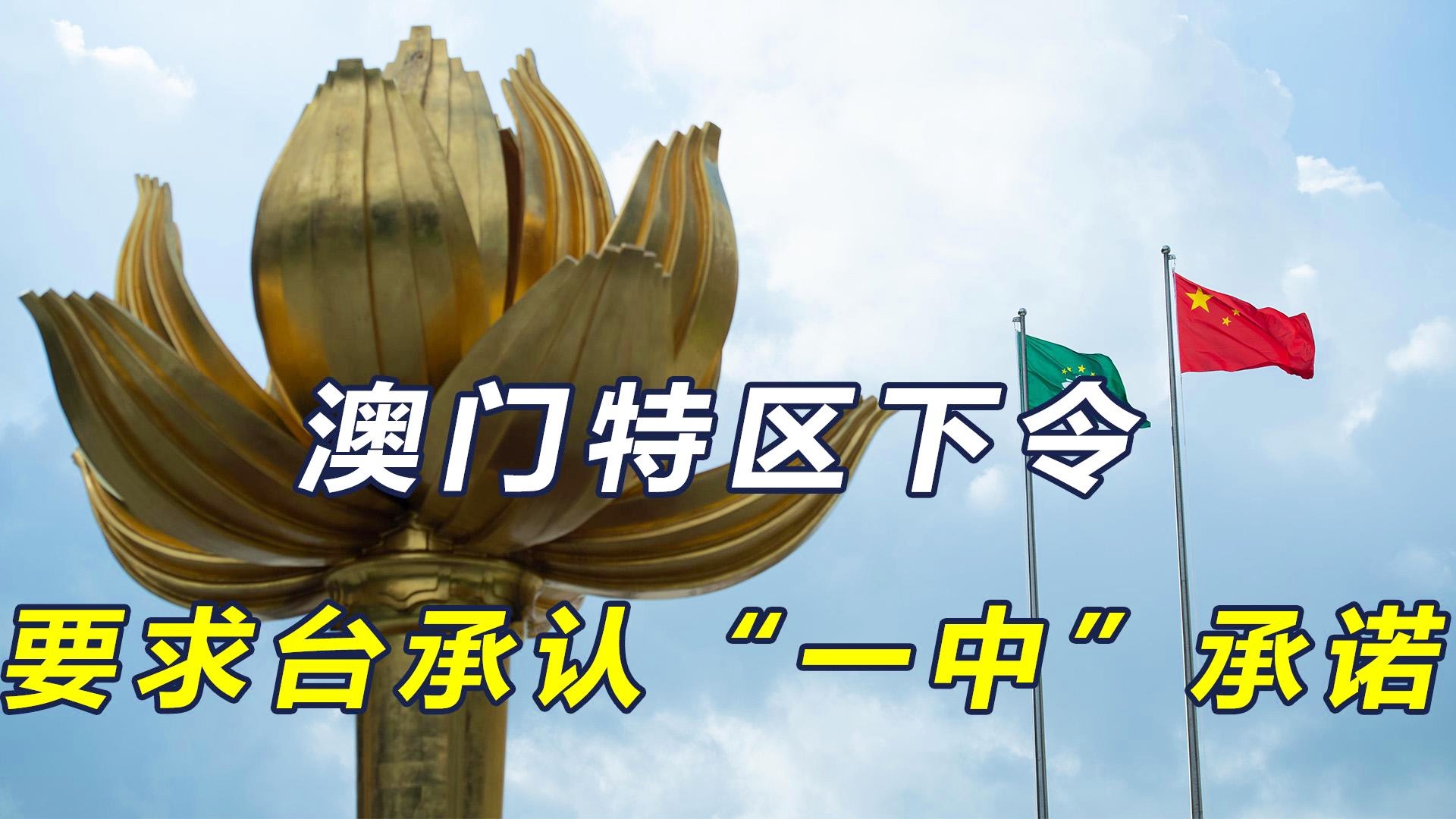 澳門一碼一肖一待一中四不像，探索神秘與現(xiàn)實的交織，澳門神秘現(xiàn)象揭秘，一碼一肖一待一中四不像的探索之旅