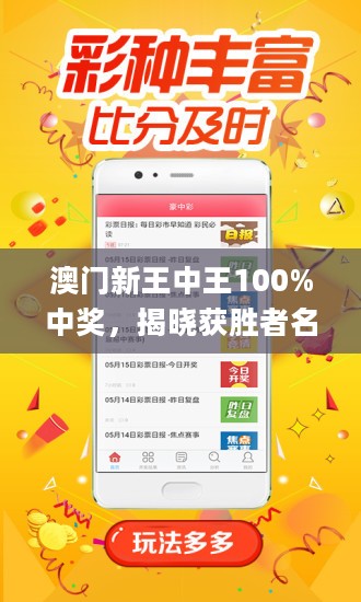 新澳門單雙王，揭示背后的犯罪問題，澳門單雙王背后的犯罪問題揭秘